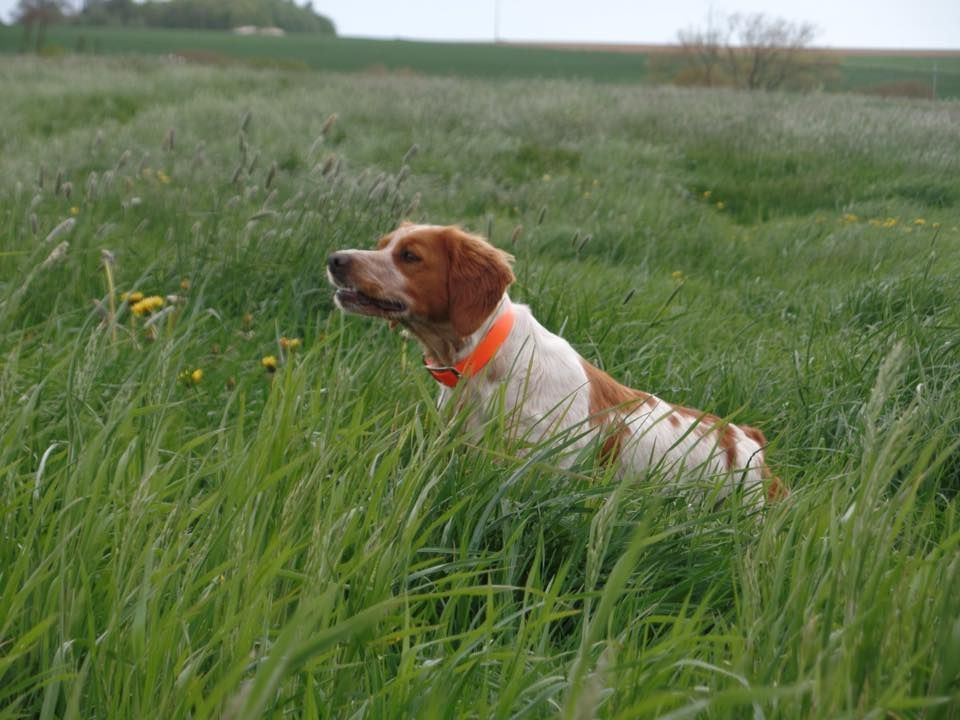 Molly Du Bois Du Flanq